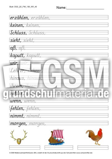 DSS_2S_FW_100_NR_49.pdf